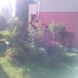 Éden Vendégház Miskolctapolca - Egyéb