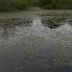 Hotel Gyöngyvirág Mátrafüred - Környék