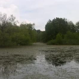Hotel Gyöngyvirág Mátrafüred - Környék