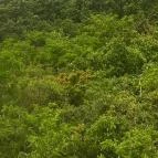 Hotel Gyöngyvirág Mátrafüred - Környék