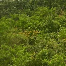 Hotel Gyöngyvirág Mátrafüred - Környék