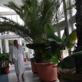 Silver Hotel Hajdúszoboszló - Belső