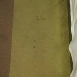 Anna Grand Hotel Balatonfüred - Belső