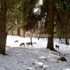 Grandhotel Galya Galyatető - Környék