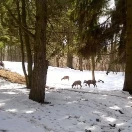 Grandhotel Galya Galyatető - Környék