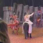 Puchner Kastélyszálló Bikal - Egyéb