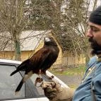 Puchner Kastélyszálló Bikal - Egyéb