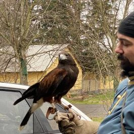 Puchner Kastélyszálló Bikal - Egyéb