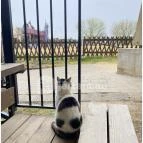 Puchner Kastélyszálló Bikal - Egyéb