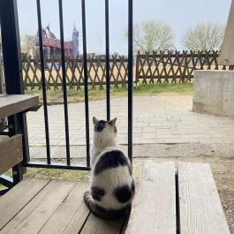 Puchner Kastélyszálló Bikal - Egyéb