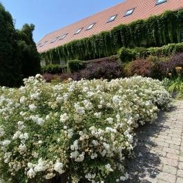 Puchner Kastélyszálló Bikal - Egyéb