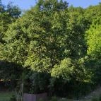 Castellum Hotel Hollókő Lobby & Wellness Bárja Hollókő - Külső kép