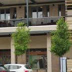 Hotel Bodrog Wellness Sárospatak - Külső kép