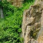 Megyer-hegyi Tengerszem Természetvédelmi Terület Sárospatak - Egyéb