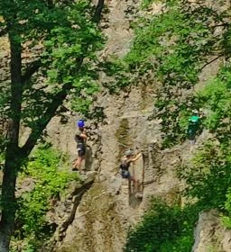 Megyer-hegyi Tengerszem Természetvédelmi Terület