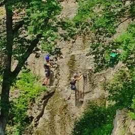 Megyer-hegyi Tengerszem Természetvédelmi Terület, Sárospatak - Egyéb