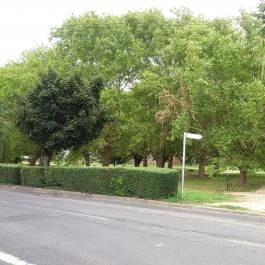 Ensana Thermal Sárvár Sárvár - Környék