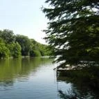 Halászcsárda Vendéglő Szarvas - Egyéb