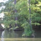 Halászcsárda Vendéglő Szarvas - Egyéb