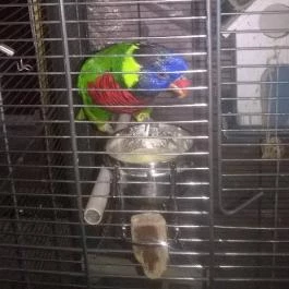 Bagolyvár Inárcs, Inárcs - Környék