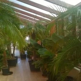 Bagolyvár Inárcs, Inárcs - Környék