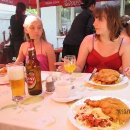 Fürdővendég Apartman , Makó - Vendéglátás