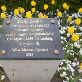 Club218 Siófok Siófok - Egyéb