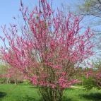 Ensana Thermal Sárvár Sárvár - Környék