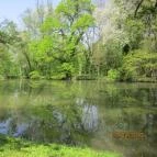 Ensana Thermal Sárvár Sárvár - Környék