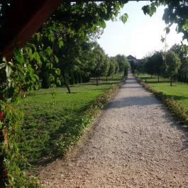 Bodrogi Kúria Wellness Hotel, Inárcs - Környék