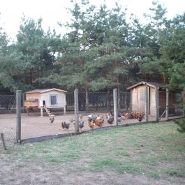 Bodrogi Kúria Wellness Hotel, Inárcs - Környék