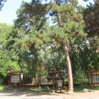 Feketerigó Étterem Mátrafüred - Külső kép