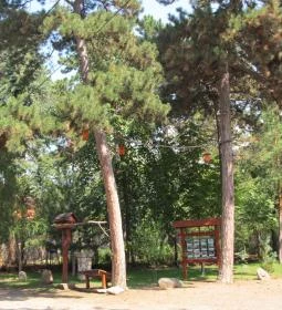 Feketerigó Étterem