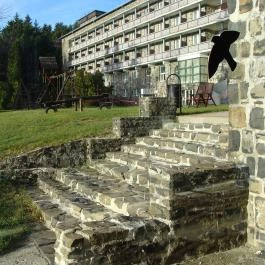 Grandhotel Galya Galyatető - Medence/kert