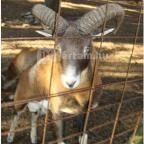 Grandhotel Galya Galyatető - Környék