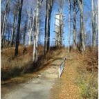 Grandhotel Galya Galyatető - Környék