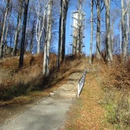 Grandhotel Galya Galyatető - Környék