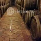 Takler Pince Szekszárd - Vendéglátás