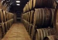 Takler Pince Szekszárd