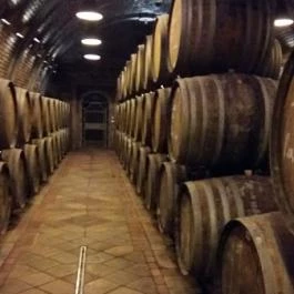 Takler Pince Szekszárd - Vendéglátás