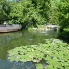 Siesta Vendégház Miskolctapolca - Környék