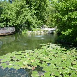 Siesta Vendégház Miskolctapolca - Környék