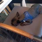 Capitano Pizzéria Keszthely - Egyéb