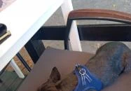 Capitano Pizzéria Keszthely