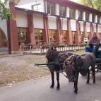 Zichy Park Hotel Bikács - Szórakozás/Sport