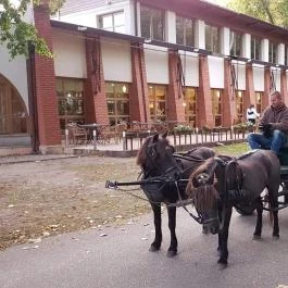 Zichy Park Hotel, Bikács - Szórakozás/Sport