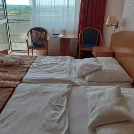 Barátság Gyógy és Wellness Szálloda, Hajdúszoboszló - Egyéb