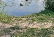 Bárka Gastro Bistro Sárvár