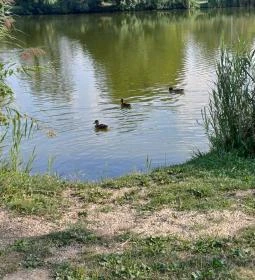 Bárka Gastro Bistro