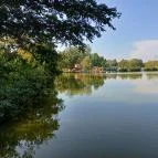 Bárka Gastro Bistro Sárvár - Egyéb